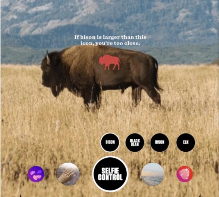 Jackson Hole Travel & Tourism Selfie Control