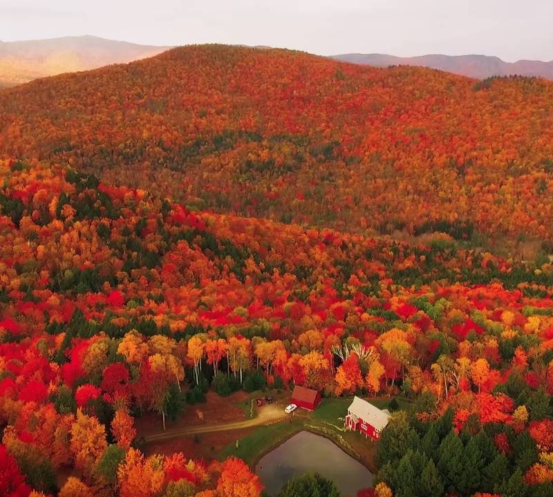 Foliage surrounding Mad River Valley, Vermont