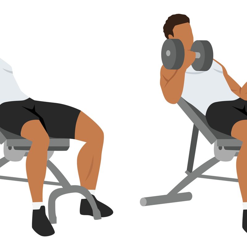 Incline dumbbell curls.