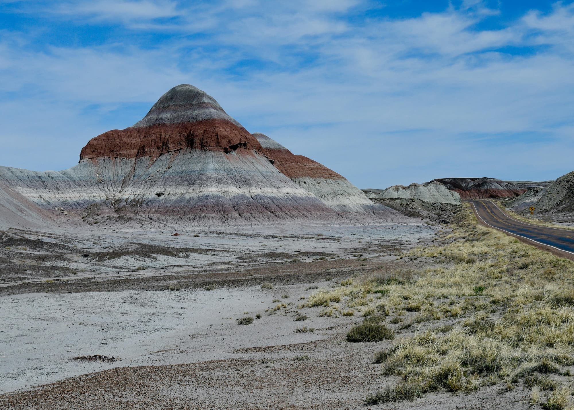 petrified forest national park
