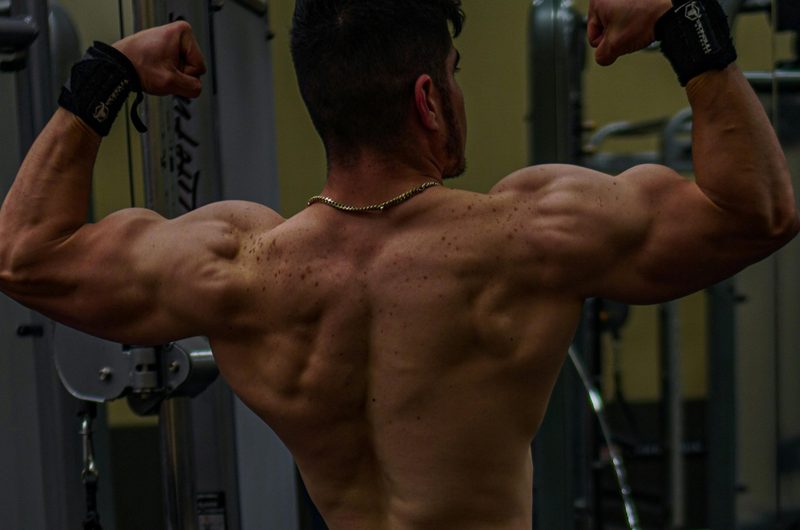 Back and shoulder muscles