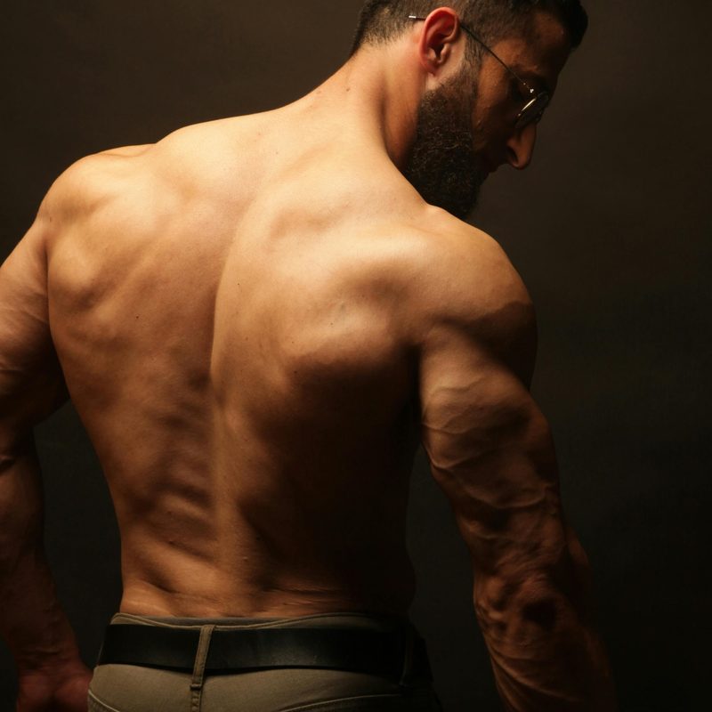 Back muscles.