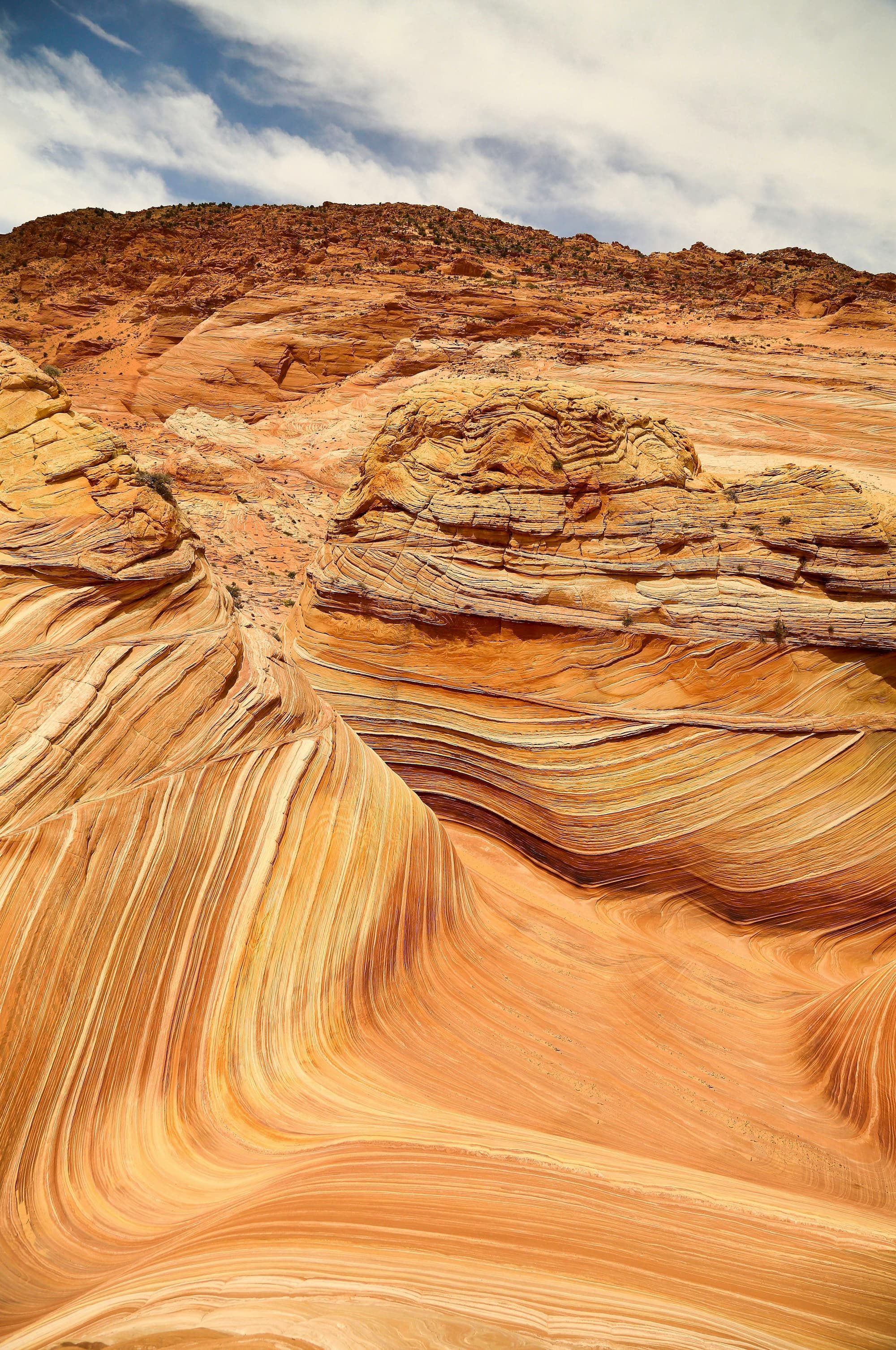 the wave sandstone formation in arizona