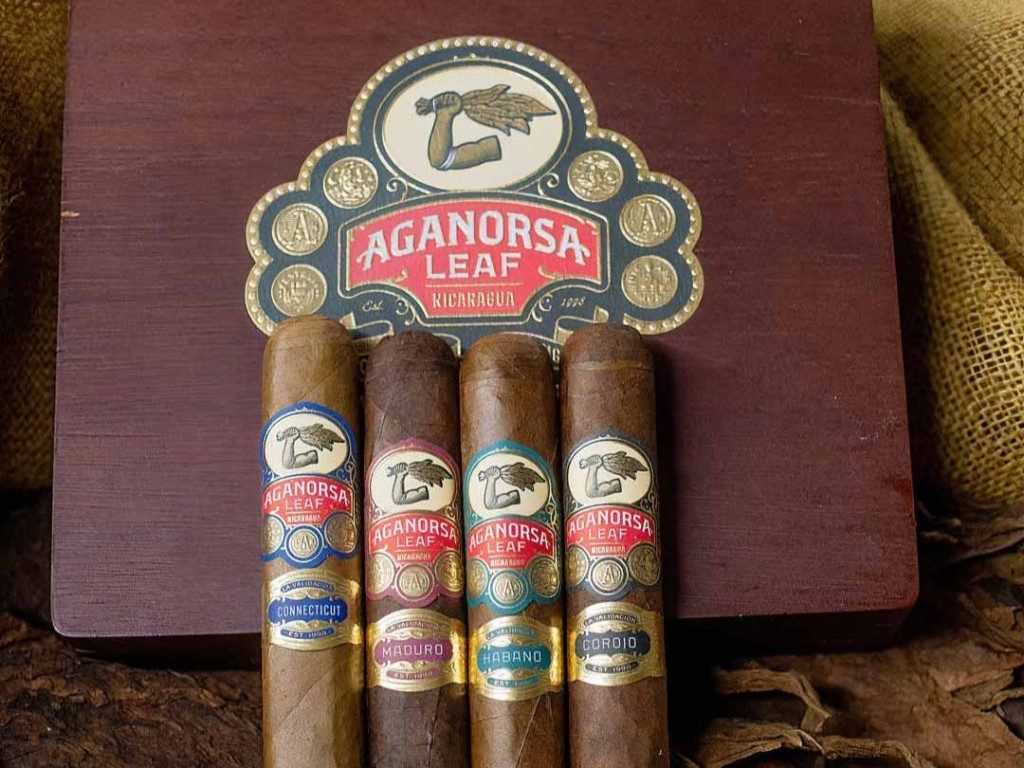 Aganorsa La Validacion Series cigars lined up