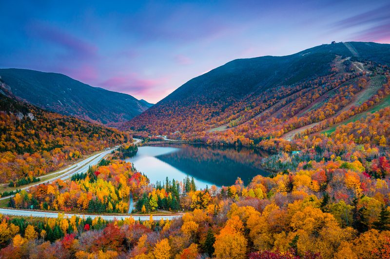 Foliage in Franconia Notch State Park