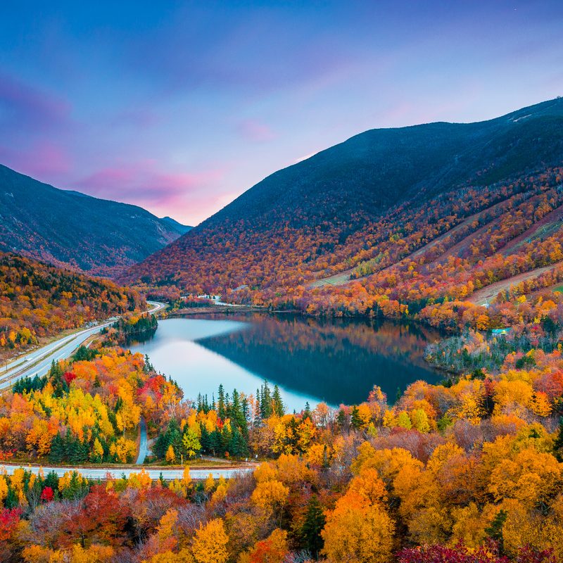 Foliage in Franconia Notch State Park