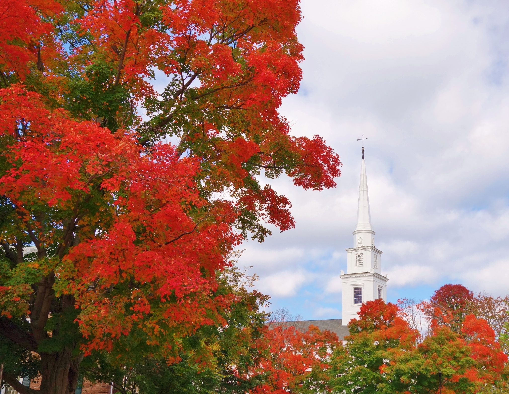 Foliage in Hanover NH