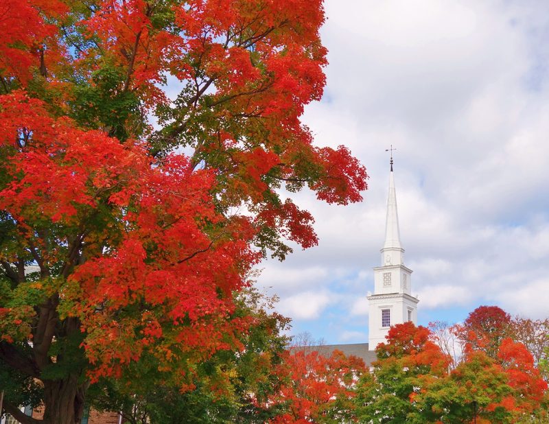 Foliage in Hanover NH
