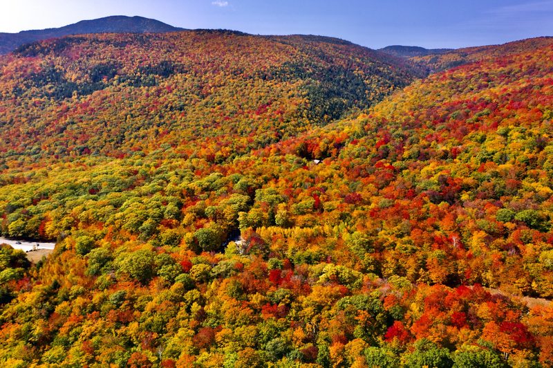 NH foliage