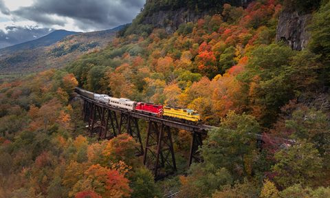 Foliage in North Conway NH