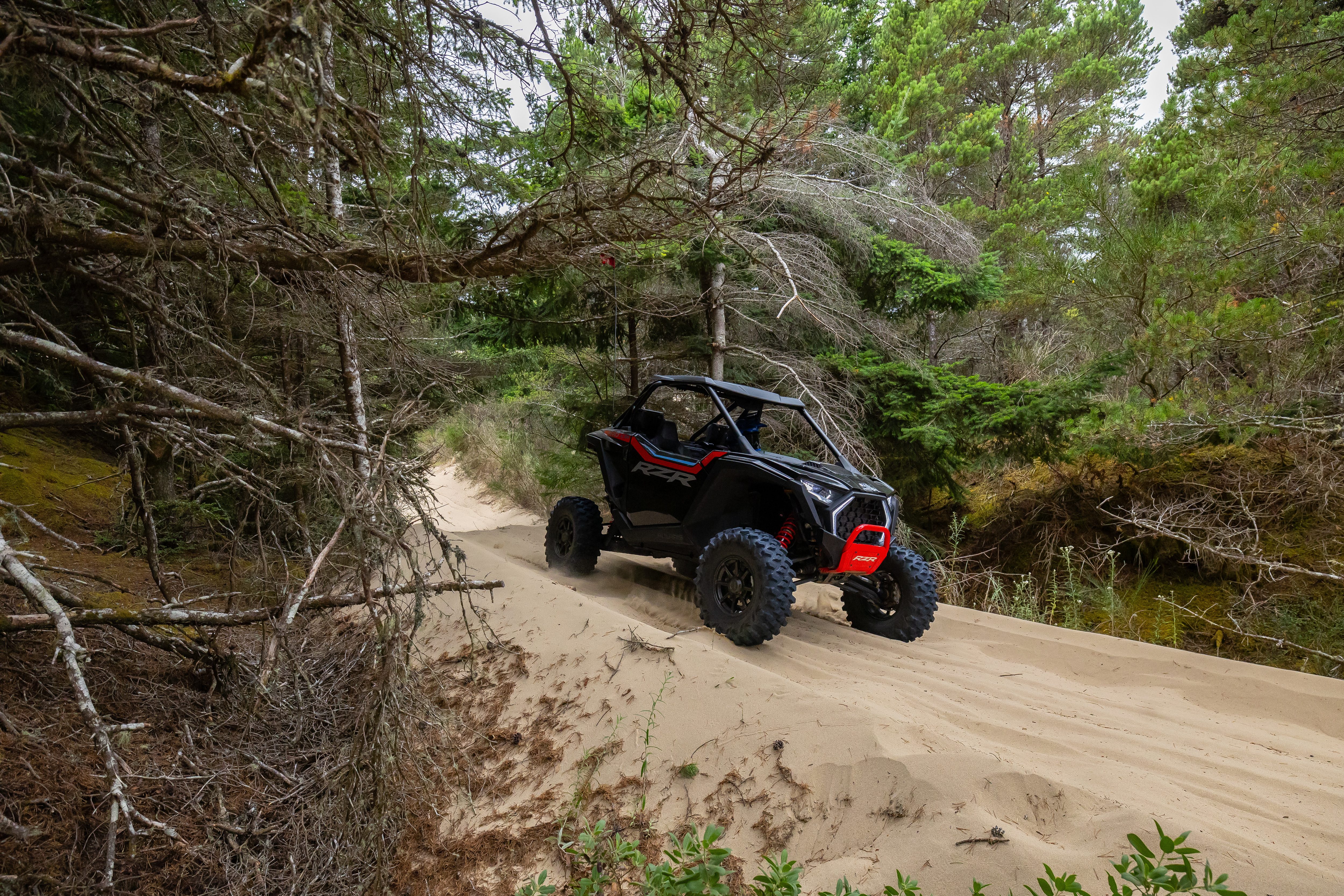 2025 RZR PRO S in the woods
