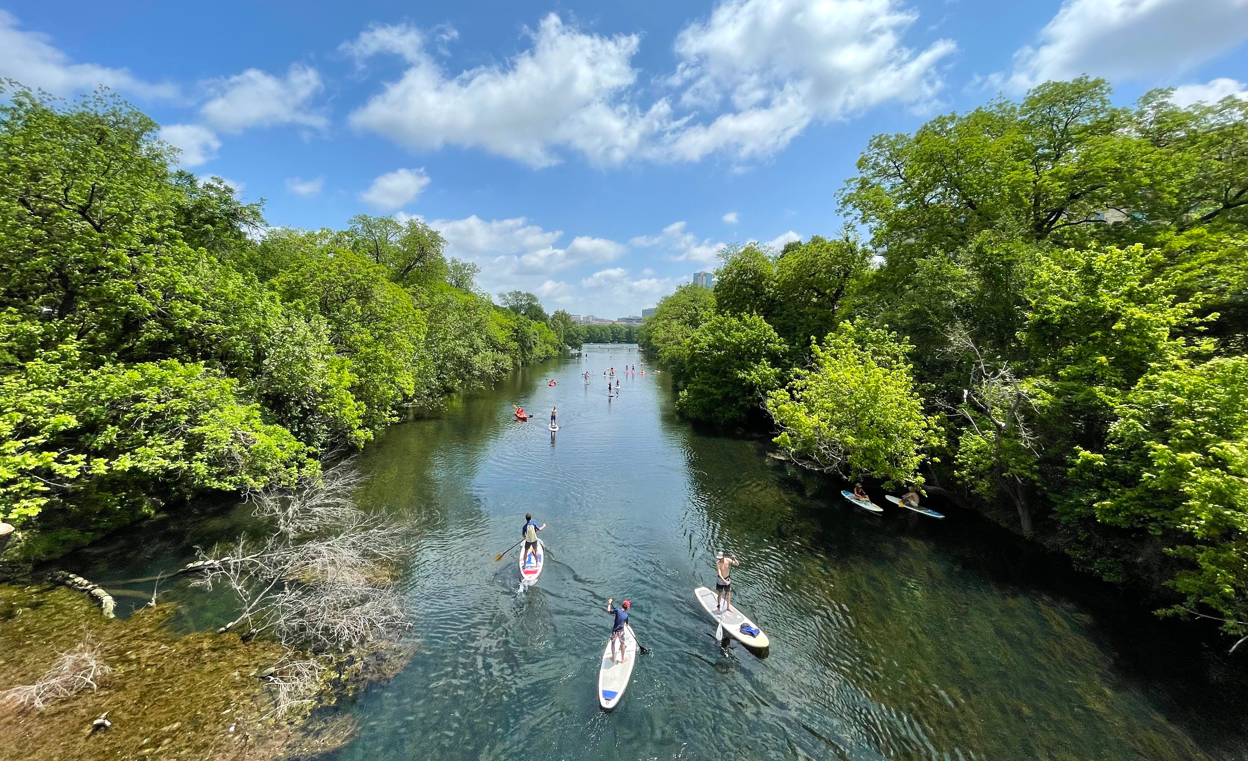 Paddleboarding on Barton Creek