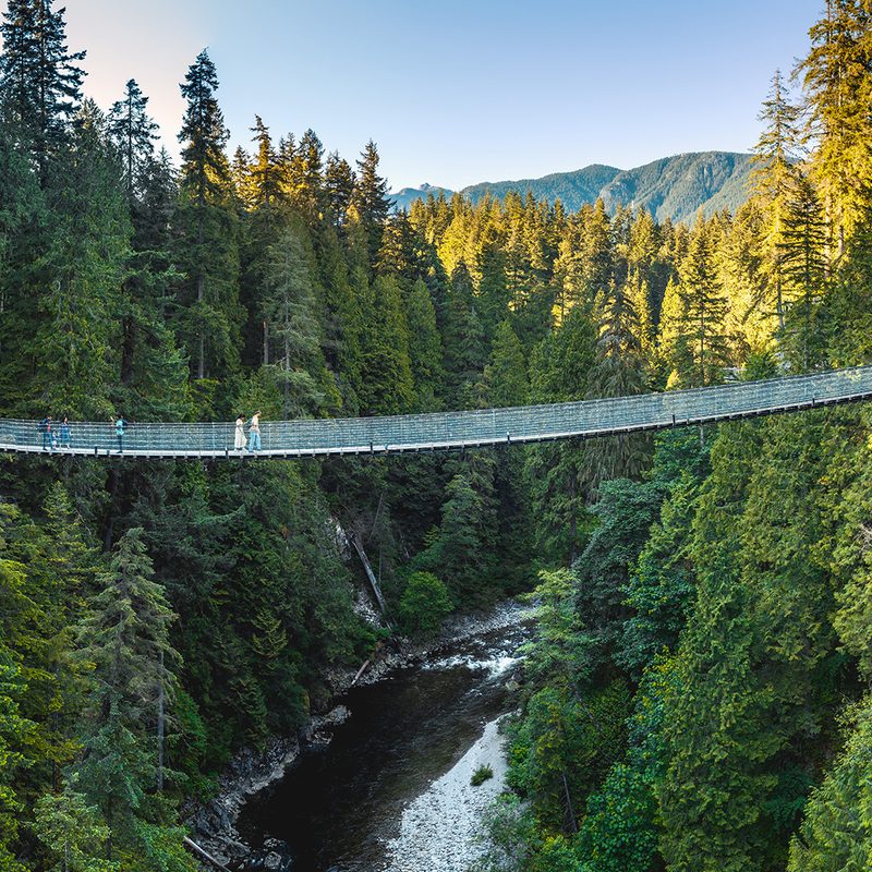 Capilano Suspension Bridge