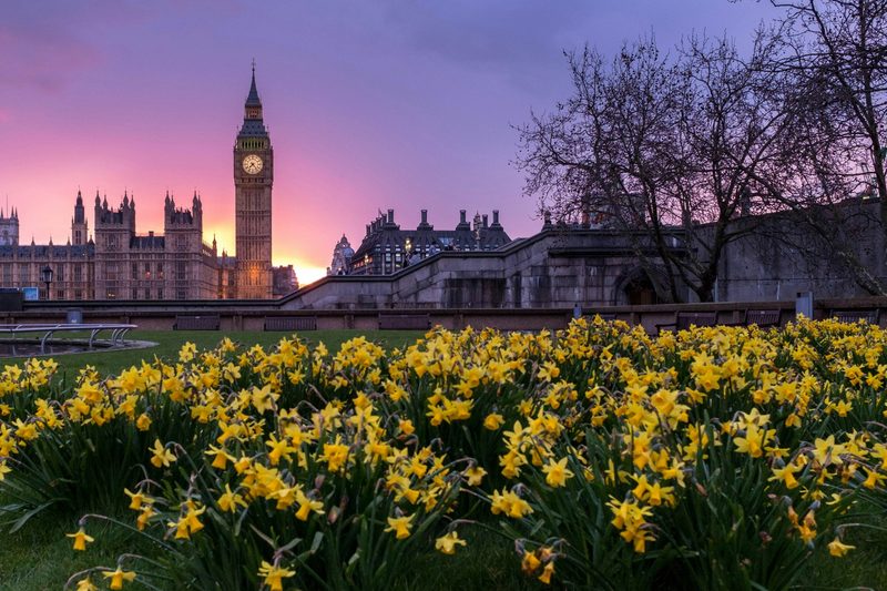 London flowers and buildings