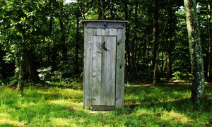 Wooden Outhouse in the woods, for why do cigars make you poop?