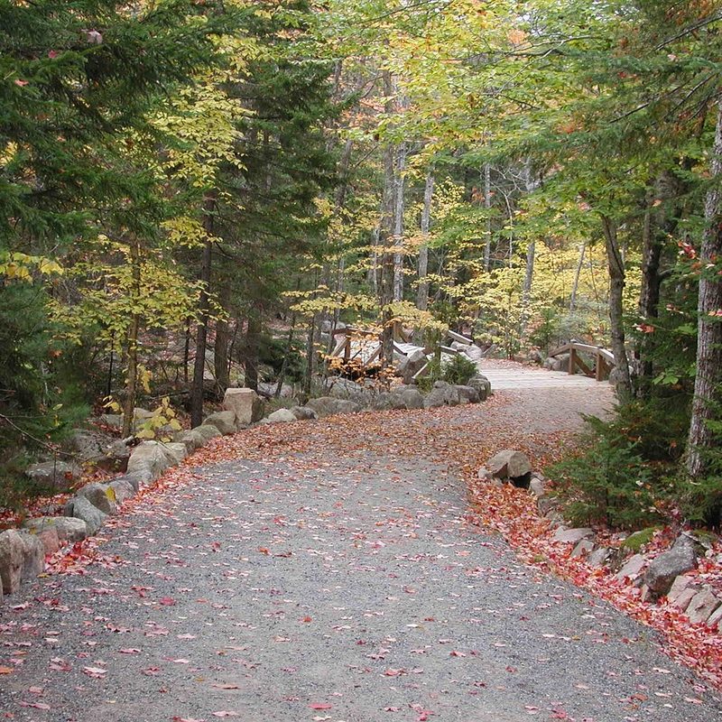 Fall foliage at Acadia National Park