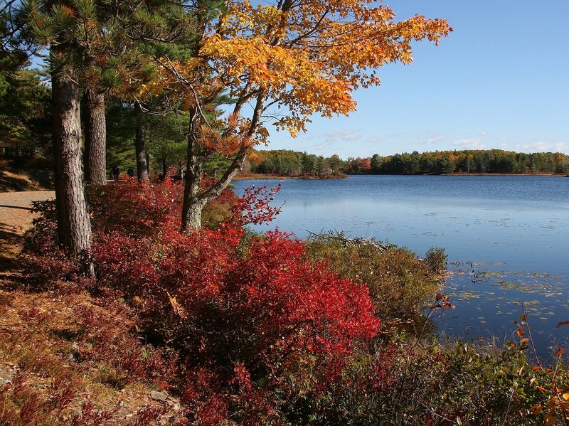 Acadia National Park in the fall