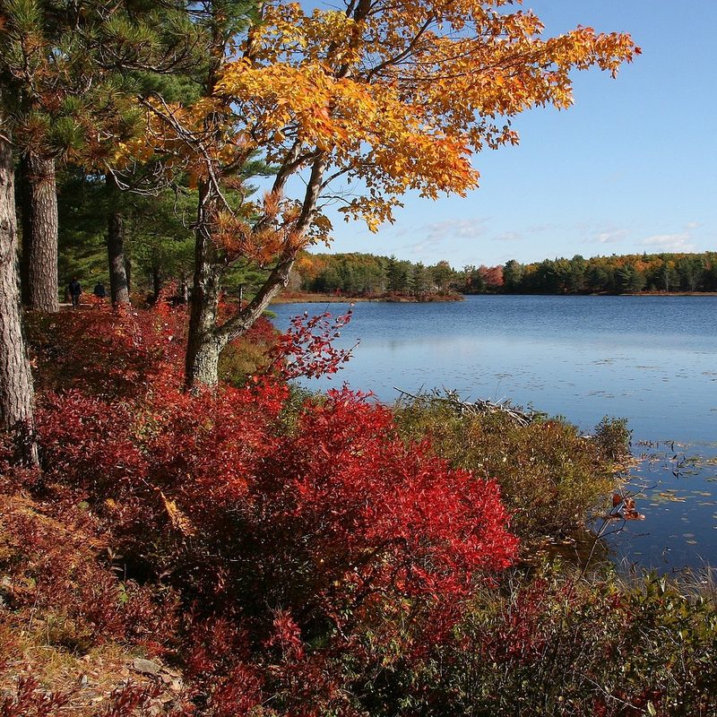 Acadia National Park in the fall