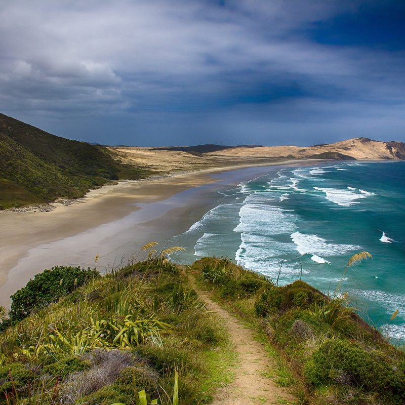 New Zealand beach