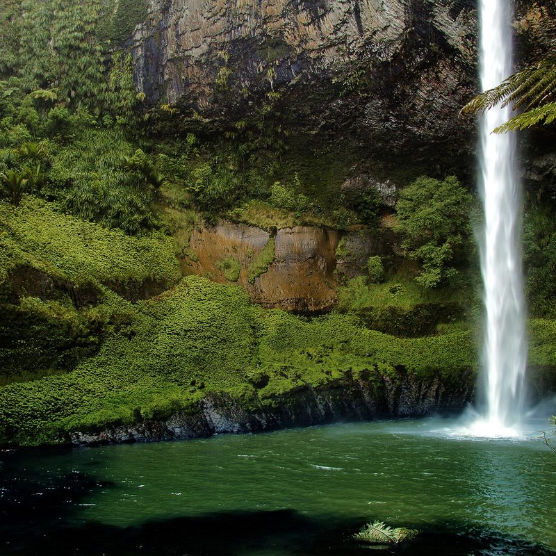 New Zealand nature