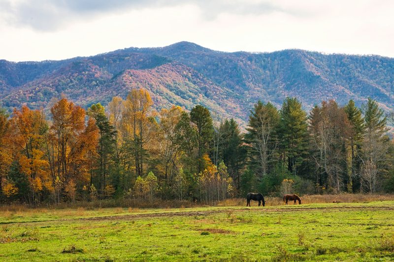 Great Smoky Mountains in October