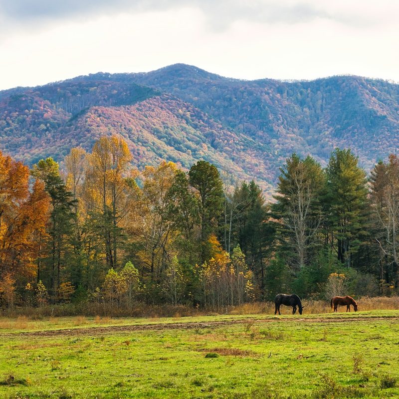 Great Smoky Mountains in October