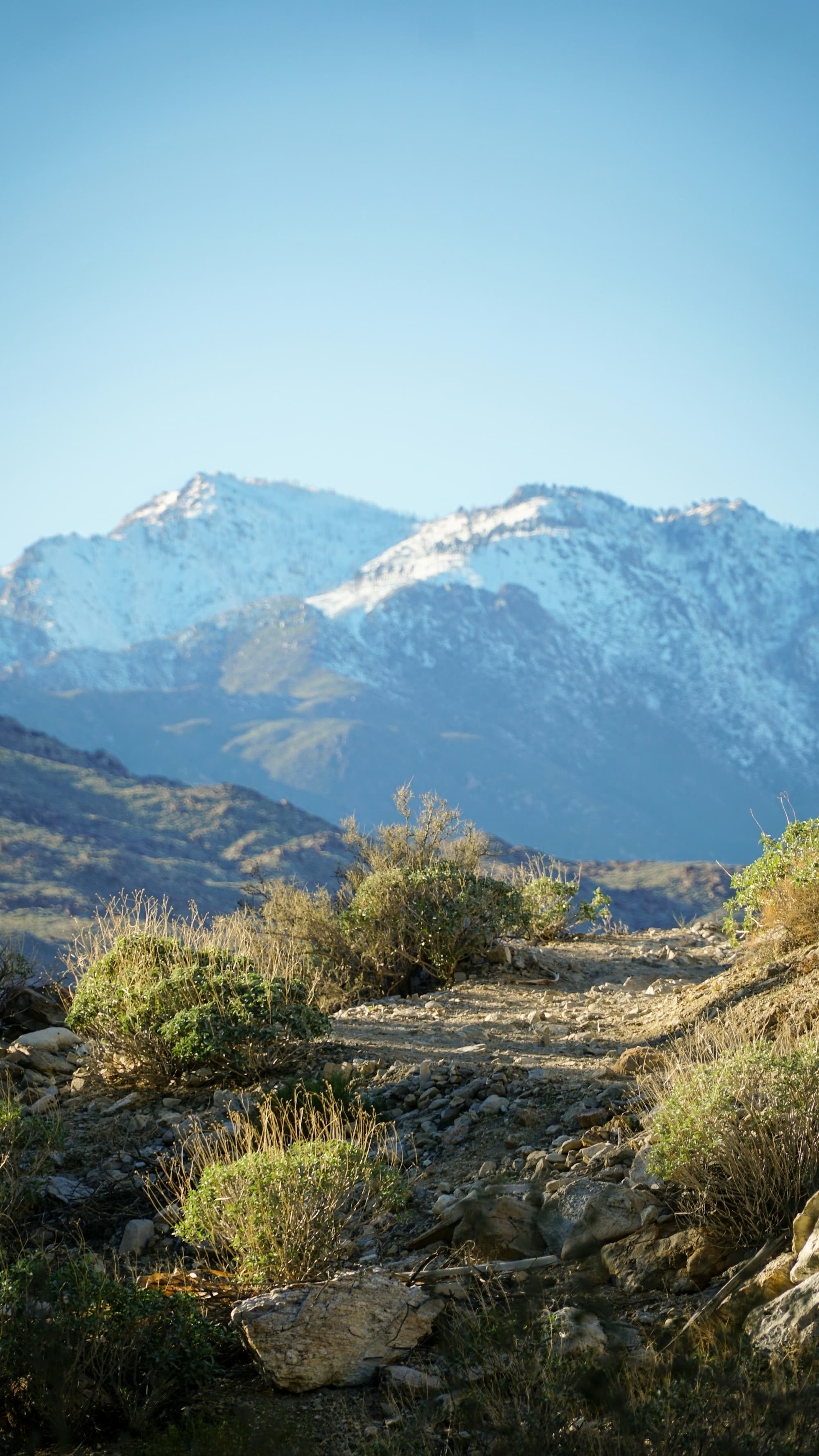 hiking trail with a snowy mountain in the background