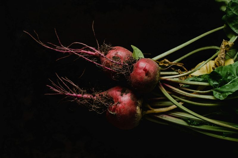 Three beets freshly pulled from the ground