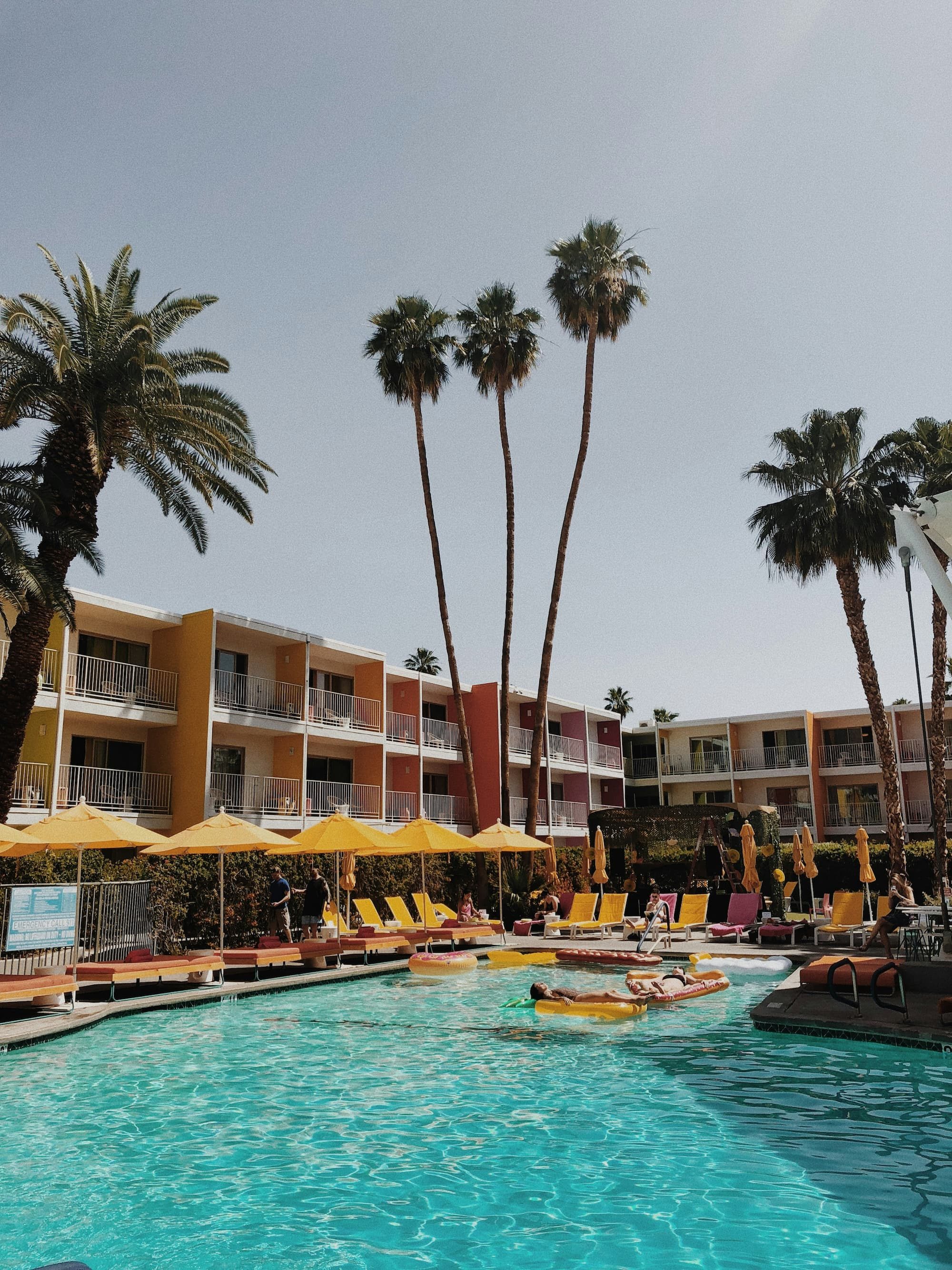 palm trees near pool and building in palm springs
