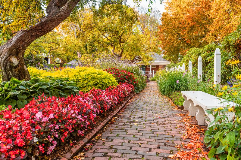 Foliage in Portsmouth, NH