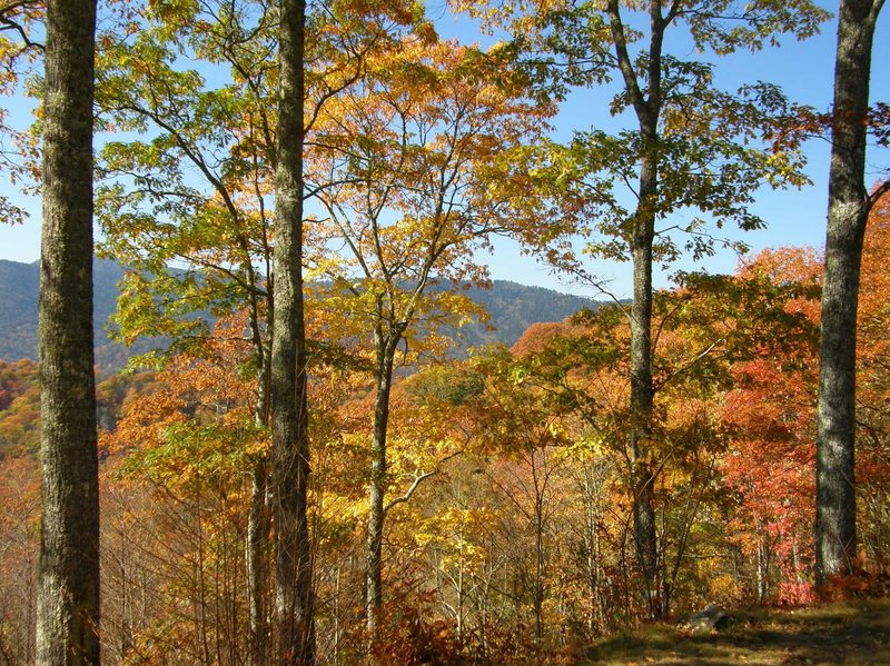 Smoky Mountains in the Fall