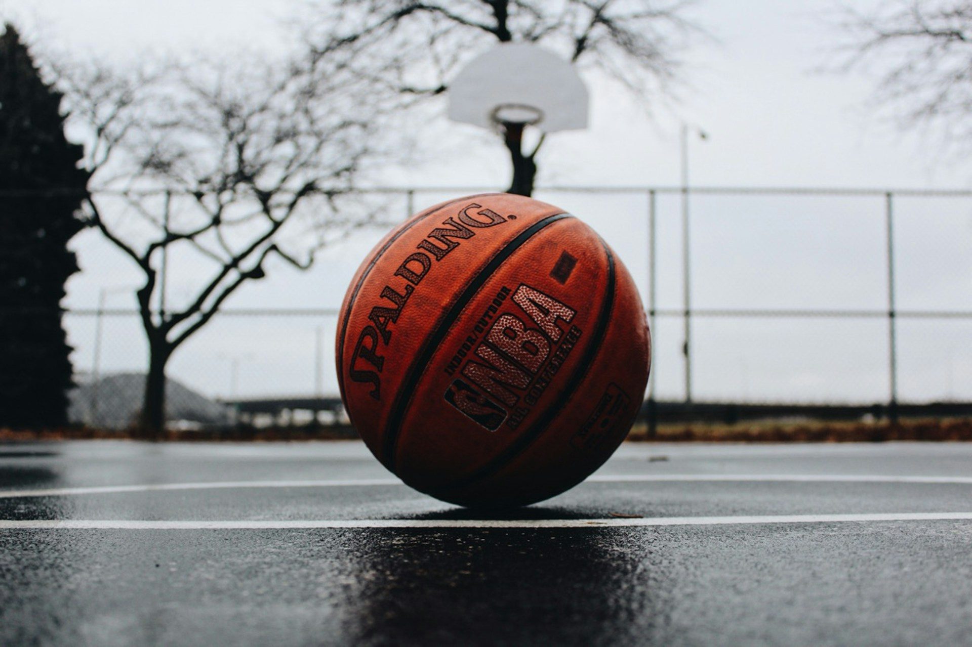 NBA basketball