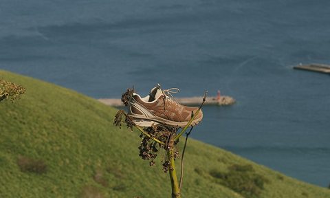 brown suede shoe in tree