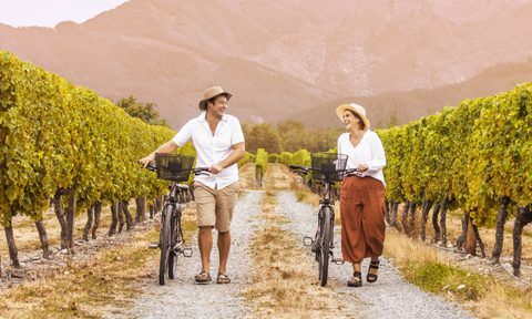 best states for vineyard cycling 03 santa barbara  united photo by erwin vina via unsplash
