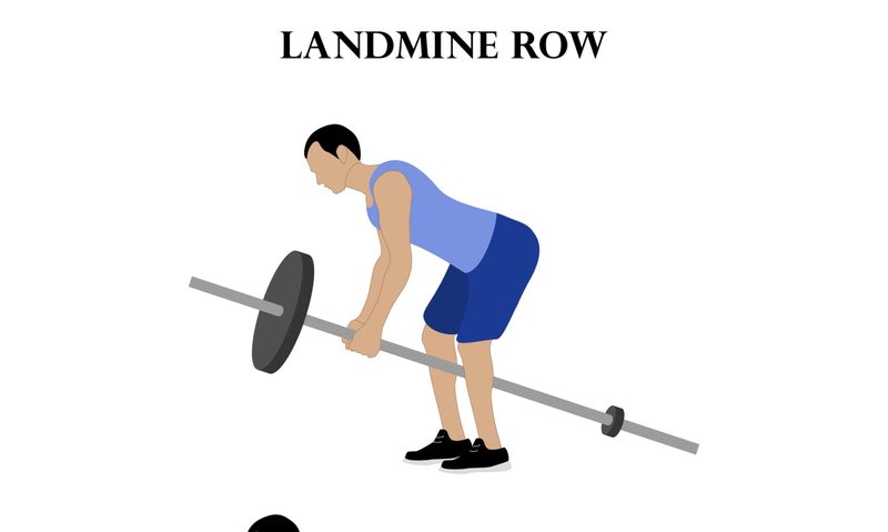 landmine row diagram drawing of man wearing blue doing landmine row white background with both arms