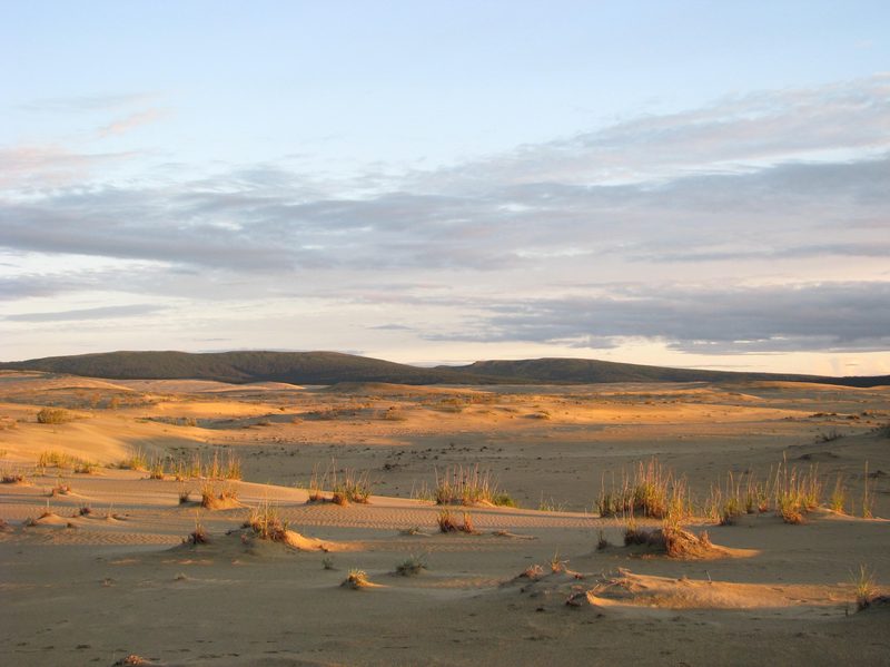 Evening light on the Great Kobuk Sand Dunes