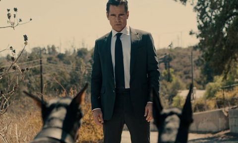 Colin Farrell in Sugar.