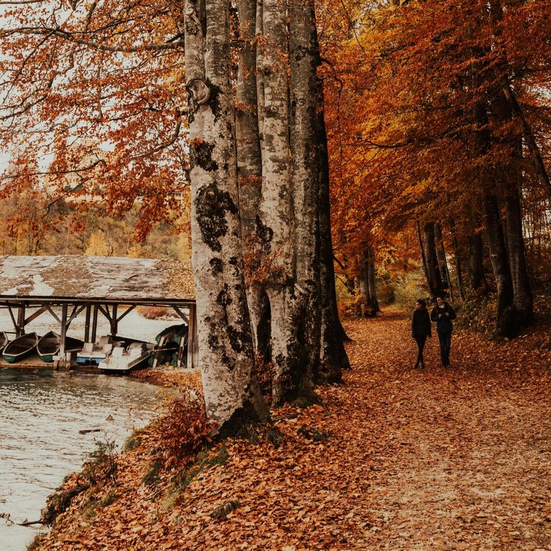 Couple walking in fall