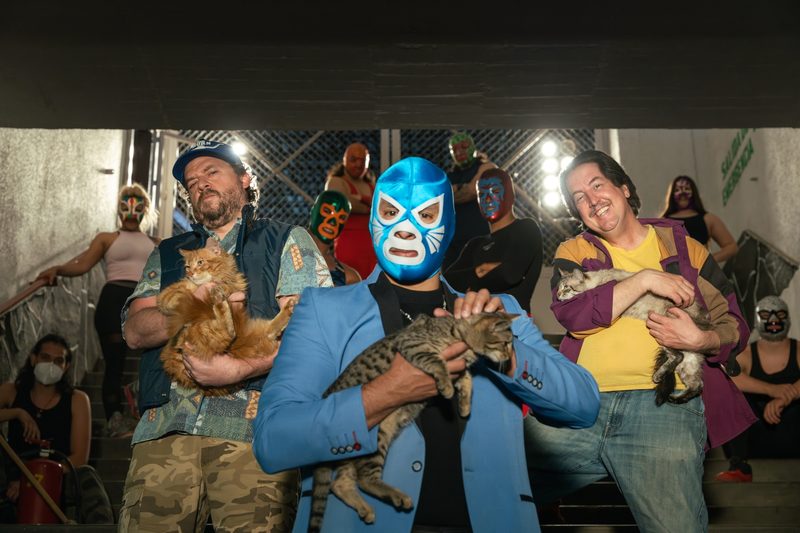 Tequila Don Gato