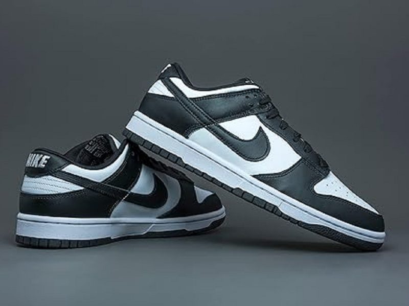 The Nike Men's Dunk Low Retro skateboarding shoes.