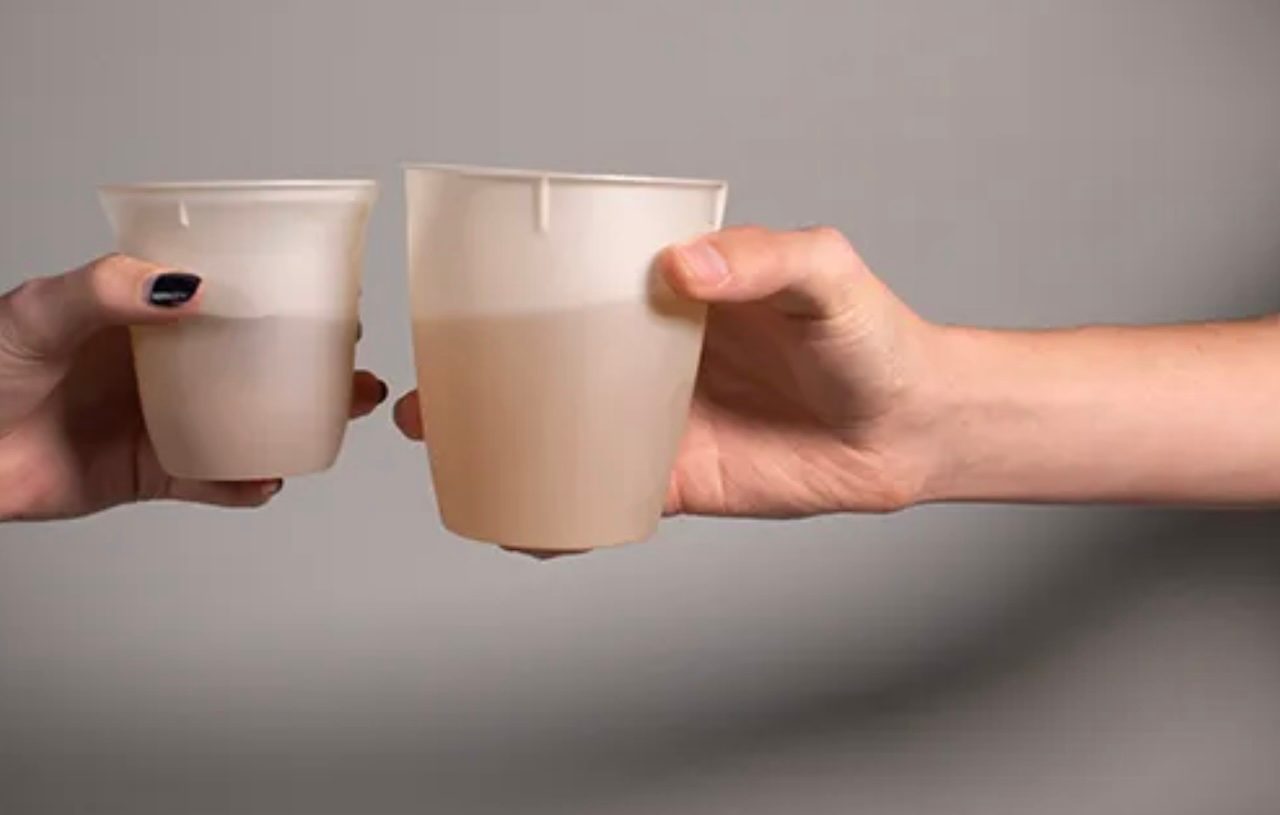 Better for All Cups