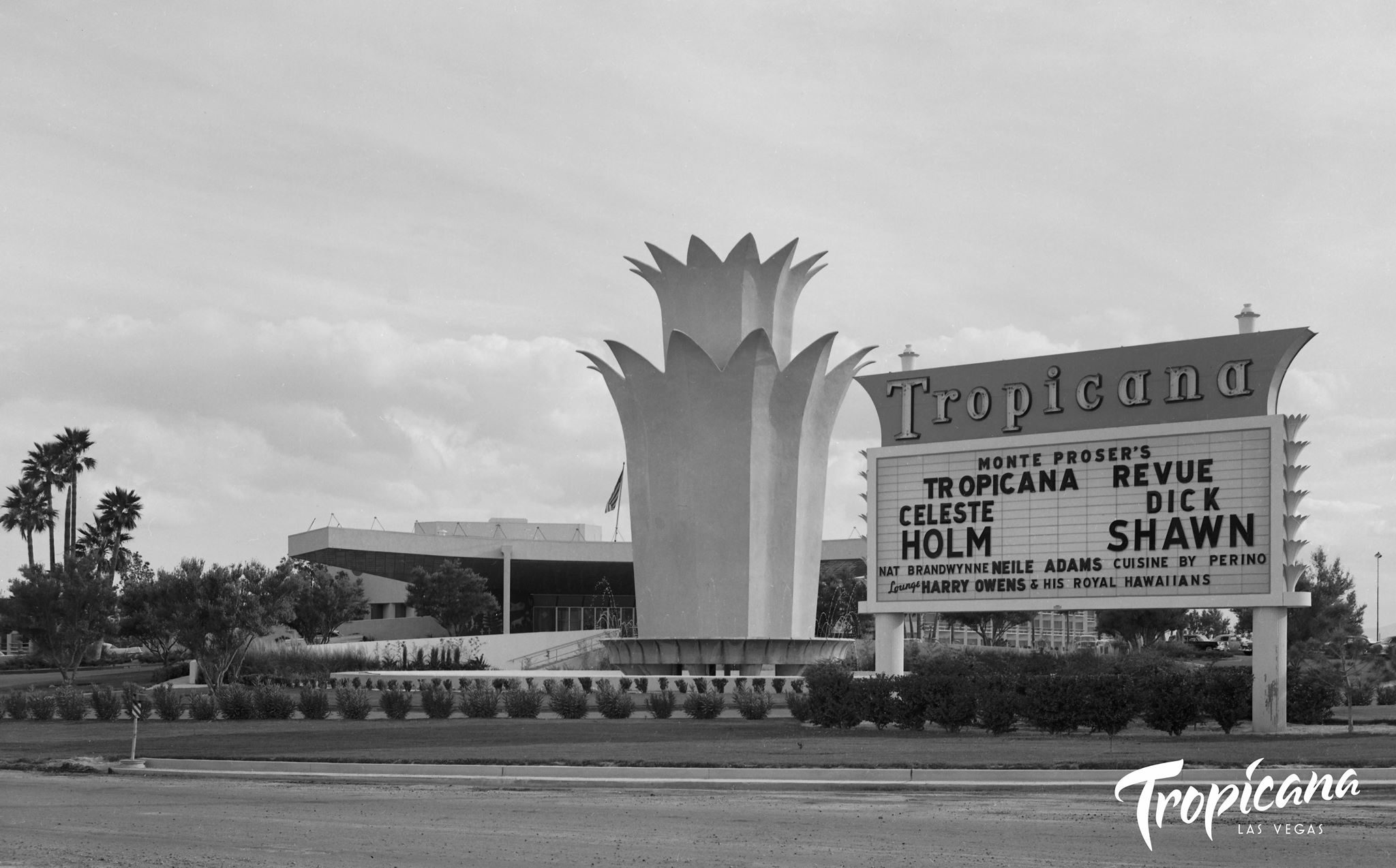 Tropicana Las Vegas Exterior Tulip