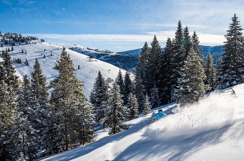 Back Bowls, Vail, Colorado