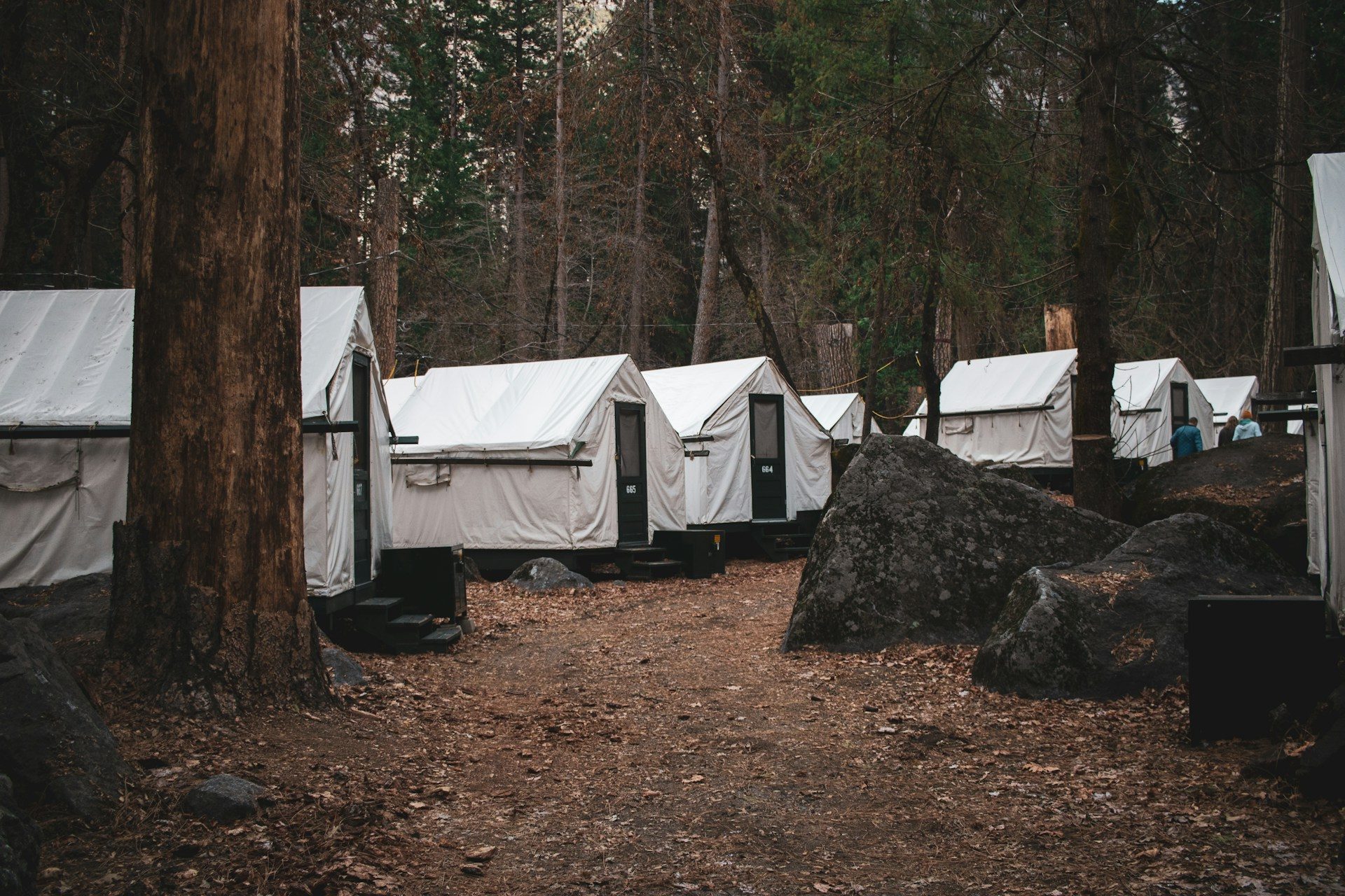 Glamping at Yosemite National Park