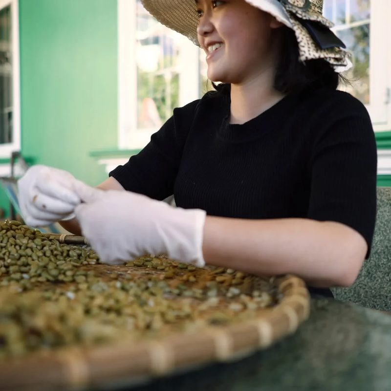 Person with sustainable beans, Copper Cow Coffee