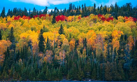 Autumn Mountains