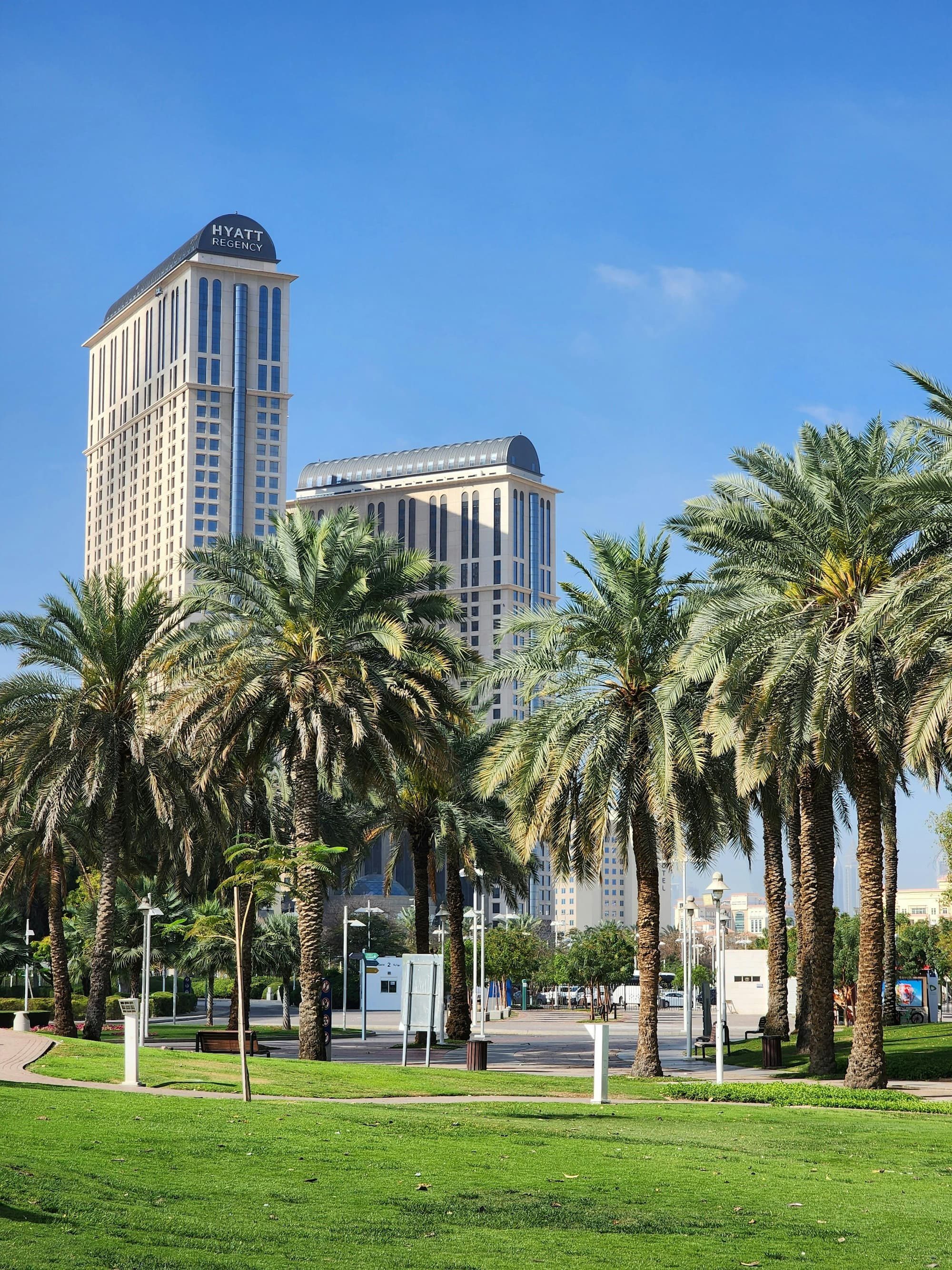 hotel among palm trees outside