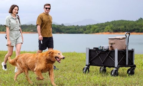 Couple and a dog walking alongside a Litefar Orion powered smart wagon.