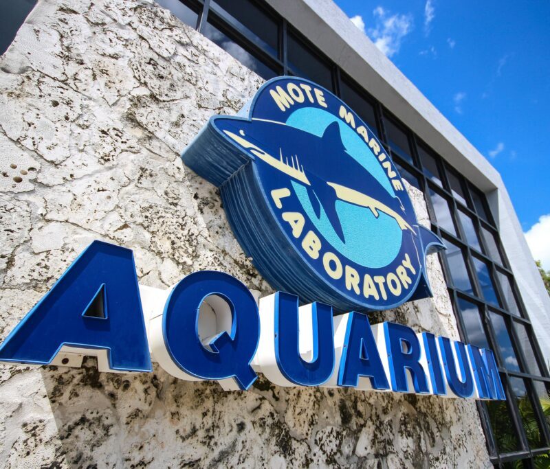 Mote Marine Laboratory & Aquarium