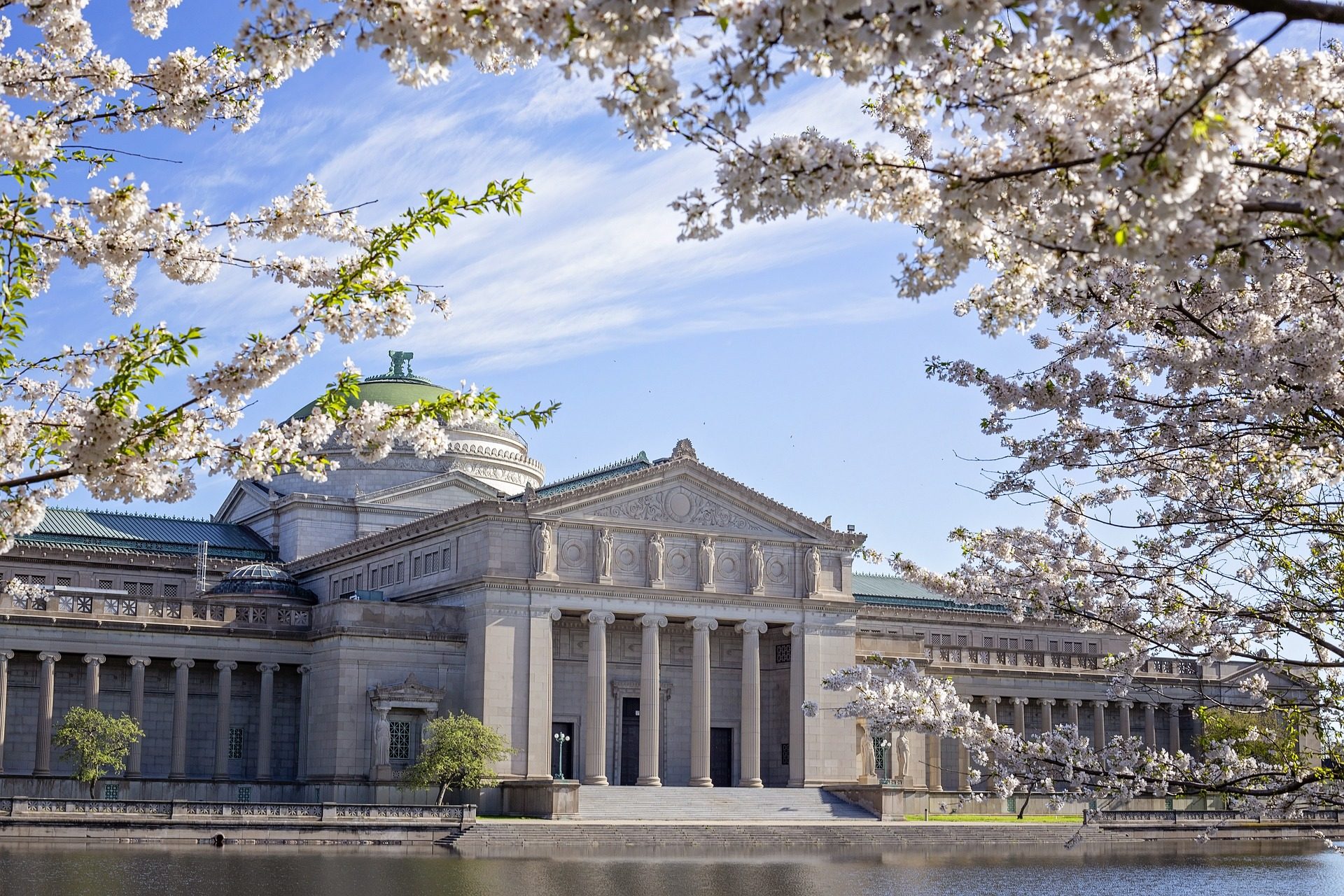 Field Museum